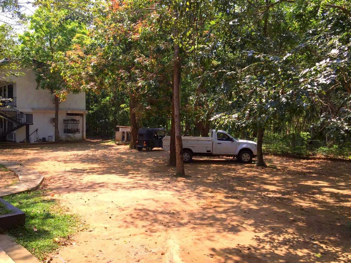 Flower Garden Eco Village Sigiriya Bagian luar foto