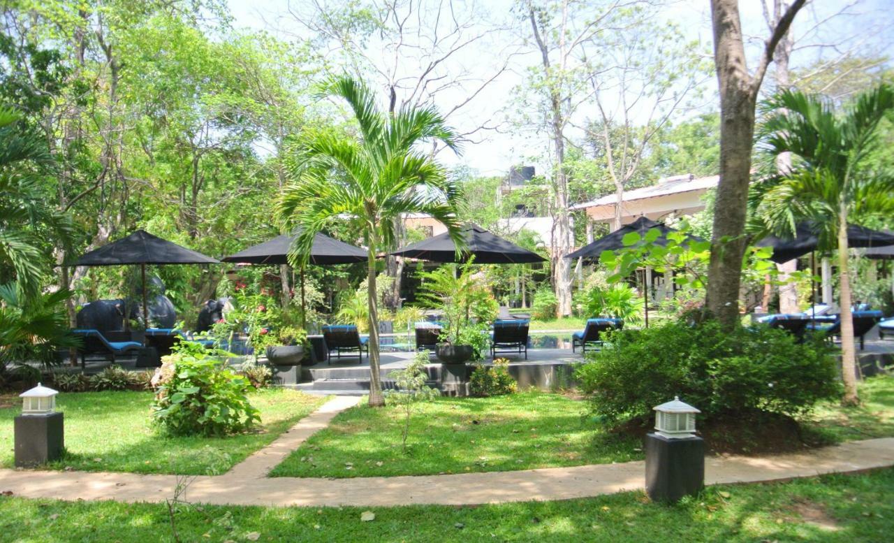 Flower Garden Eco Village Sigiriya Bagian luar foto